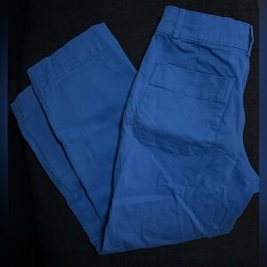 Everlane blue wide leg pants